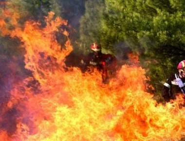 Πυρκαγιά στην Κάρυστο